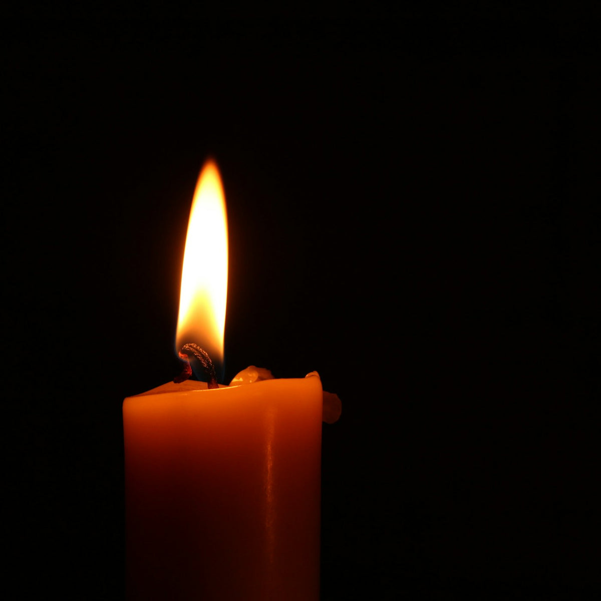 Scented Soy Candle — view 2